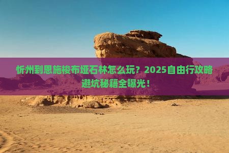 忻州到恩施梭布垭石林自由行