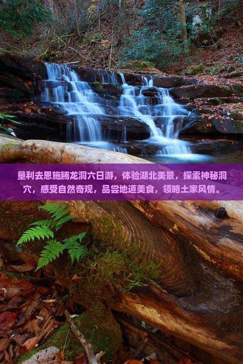 垦利去恩施腾龙洞六日游
