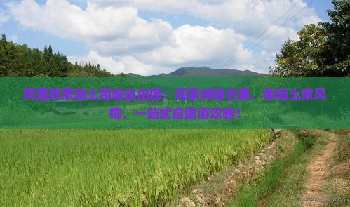 阿里到恩施土司城自由团