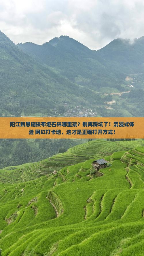 阳江到恩施梭布垭石林哪里玩