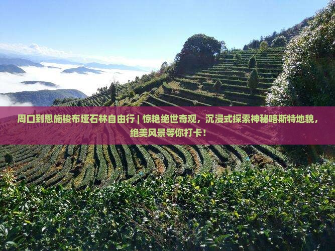 周口到恩施梭布垭石林自由行