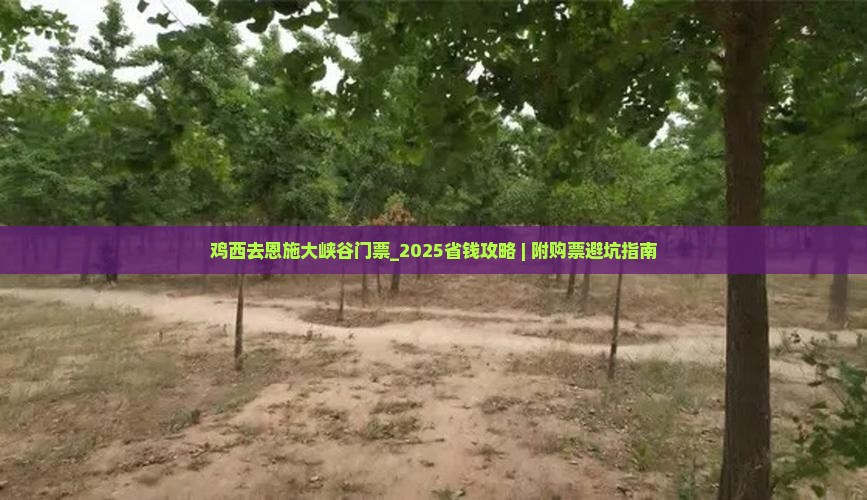 鸡西去恩施大峡谷门票