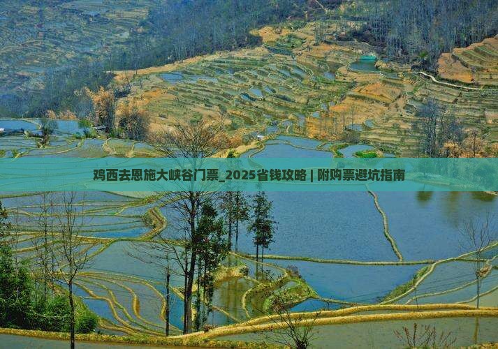 鸡西去恩施大峡谷门票