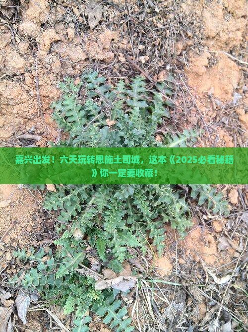 嘉兴去恩施土司城六日游
