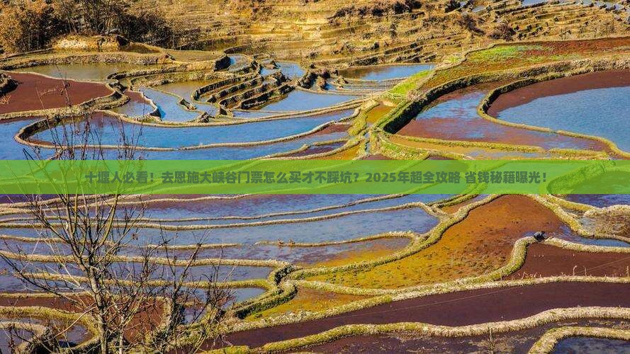 十堰去恩施大峡谷门票
