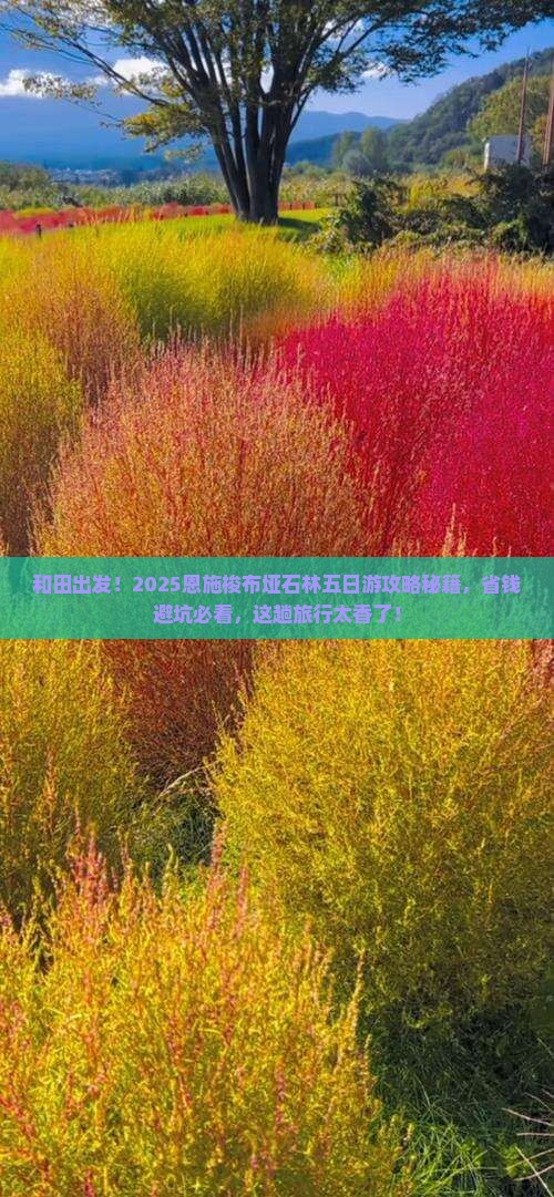 和田到恩施梭布垭石林五日游