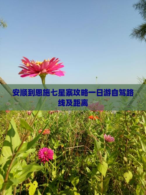安顺到恩施七星寨攻略