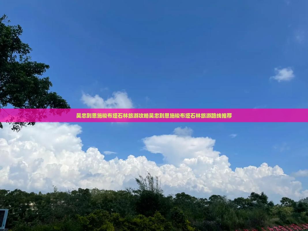 吴忠到恩施梭布垭石林旅游