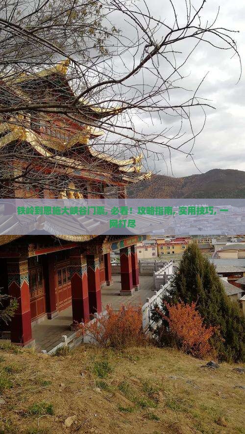 铁岭到恩施大峡谷门票