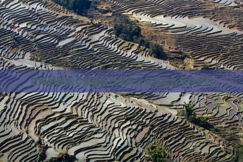 甘南到恩施七星寨旅行社