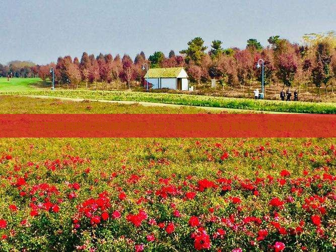 江门到恩施腾龙洞团体旅游
