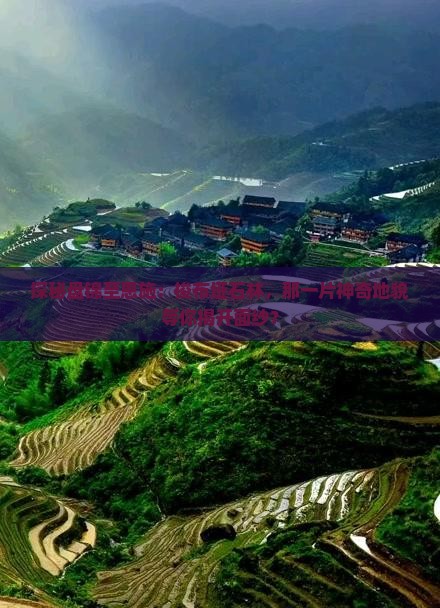 探秘盘锦至恩施：梭布垭石林，那一片神奇地貌等你揭开面纱？