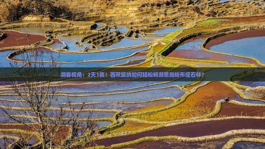 游客视角：2天1夜！西双版纳如何轻松畅游恩施梭布垭石林？