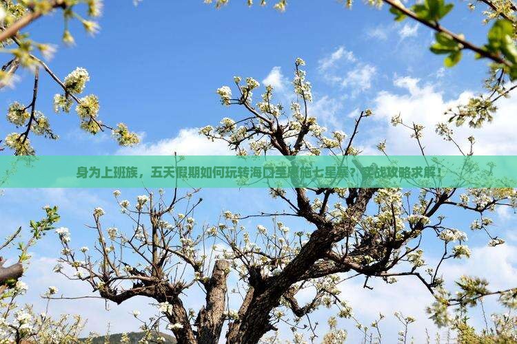 身为上班族，五天假期如何玩转海口至恩施七星寨？实战攻略求解！