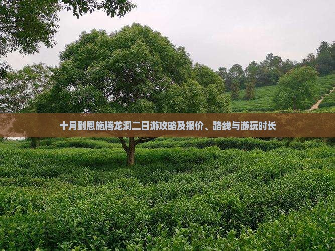 十月到恩施腾龙洞二日游攻略及报价、路线与游玩时长