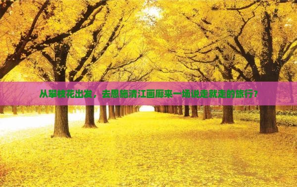 从攀枝花出发，去恩施清江画廊来一场说走就走的旅行？