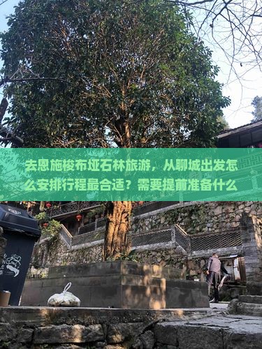 去恩施梭布垭石林旅游，从聊城出发怎么安排行程最合适？需要提前准备什么？费用大概是多少？
