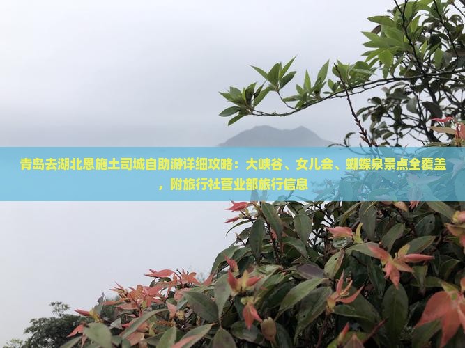 青岛去湖北恩施土司城自助游详细攻略：大峡谷、女儿会、蝴蝶泉景点全覆盖，附旅行社营业部旅行信息