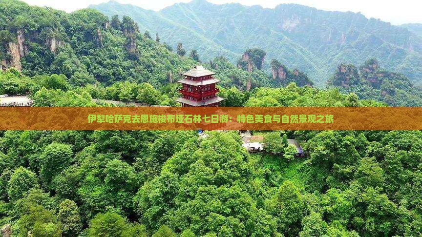 伊犁哈萨克去恩施梭布垭石林七日游：特色美食与自然景观之旅