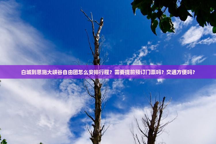 白城到恩施大峡谷自由团怎么安排行程？需要提前预订门票吗？交通方便吗？