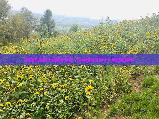 桐城到恩施土司城必去地：探寻秘境之美十大景点精华游