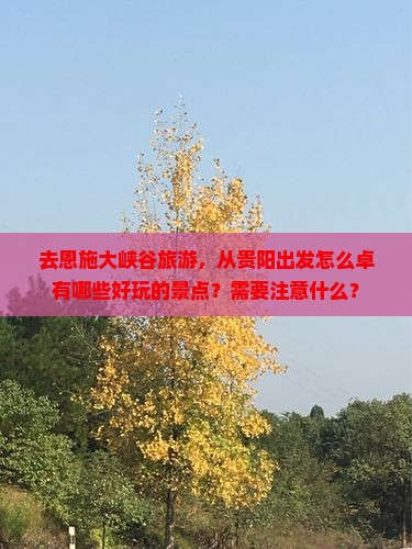 去恩施大峡谷旅游，从贵阳出发怎么卓有哪些好玩的景点？需要注意什么？