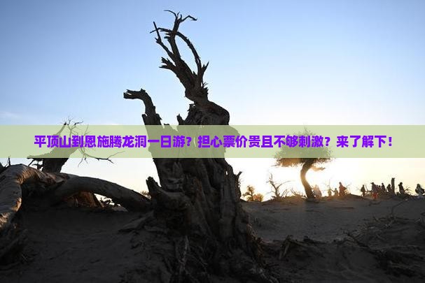 平顶山到恩施腾龙洞一日游？担心票价贵且不够刺激？来了解下！