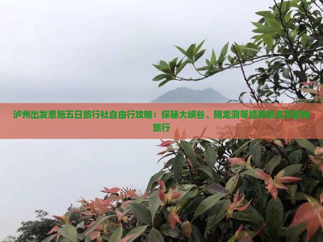 泸州出发恩施五日旅行社自由行攻略：探秘大峡谷、腾龙洞等经典景点及路线旅行