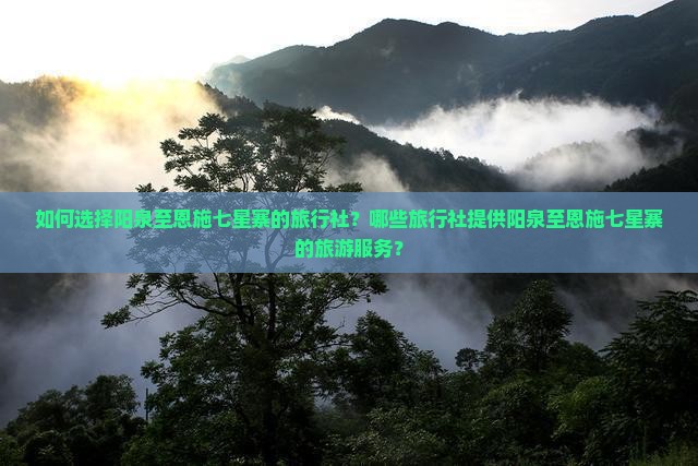 如何选择阳泉至恩施七星寨的旅行社？哪些旅行社提供阳泉至恩施七星寨的旅游服务？