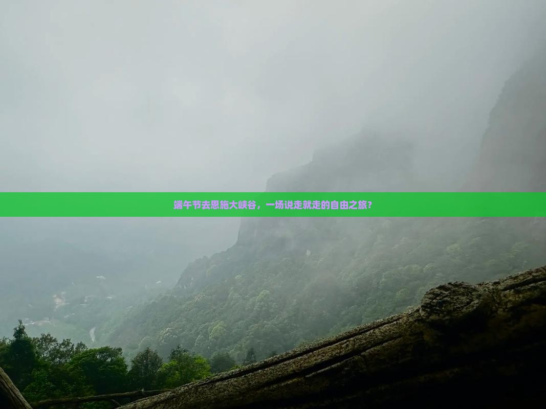 端午节去恩施大峡谷，一场说走就走的自由之旅？