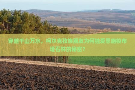 穿越千山万水，柯尔克孜族朋友为何独爱恩施梭布垭石林的秘密？