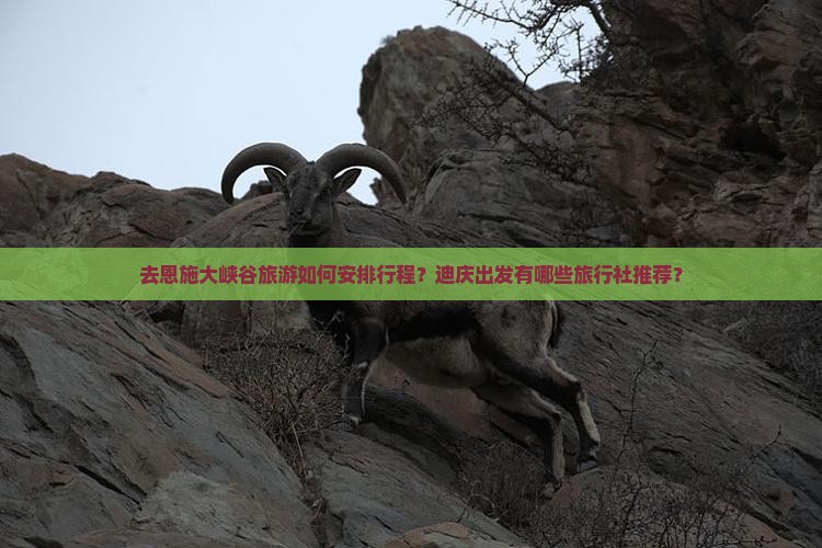 去恩施大峡谷旅游如何安排行程？迪庆出发有哪些旅行社推荐？