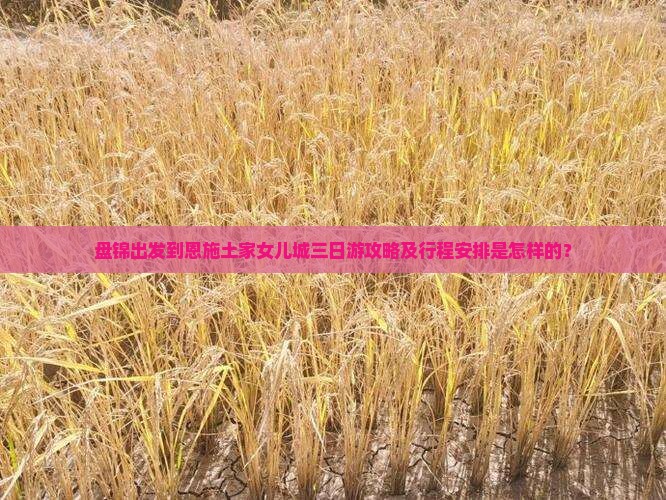 盘锦出发到恩施土家女儿城三日游攻略及行程安排是怎样的？