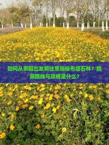 如何从贵阳出发前往恩施梭布垭石林？旅游路线与攻略是什么？