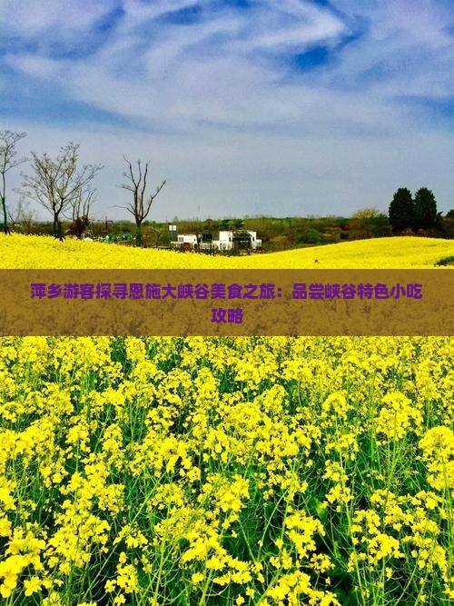 萍乡游客探寻恩施大峡谷美食之旅：品尝峡谷特色小吃攻略