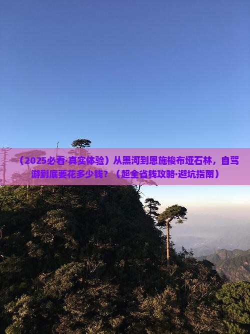 黑河去恩施梭布垭石林景点