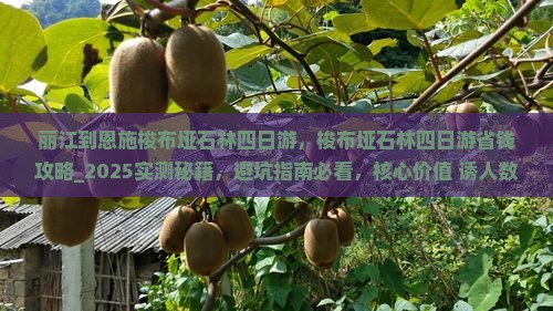 丽江到恩施梭布垭石林四日游