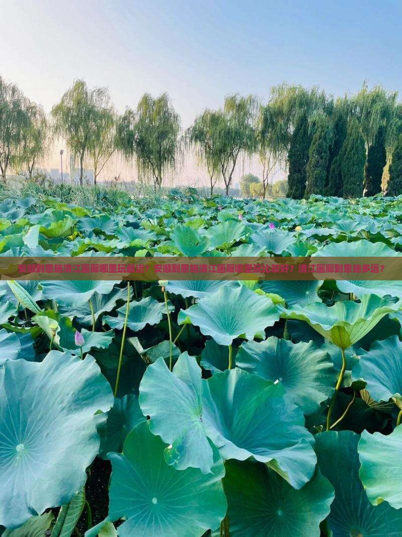 安顺到恩施清江画廊哪里玩