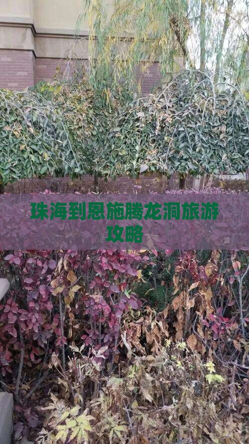 珠海到恩施腾龙洞个人游