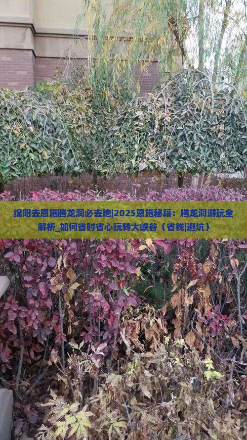 绵阳去恩施腾龙洞必去地