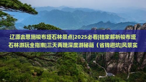 辽源去恩施梭布垭石林景点