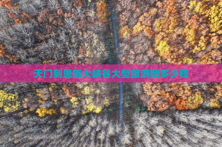 天门到恩施大峡谷大型旅游团