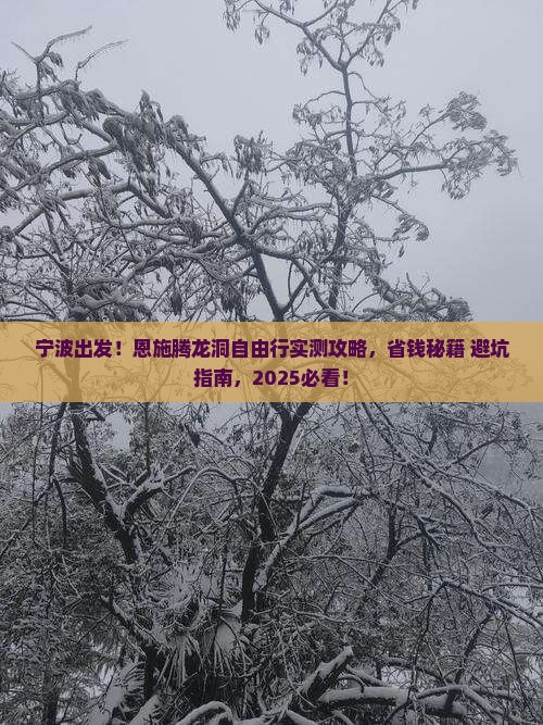 宁波去恩施腾龙洞自由团