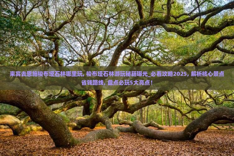 来宾去恩施梭布垭石林哪里玩