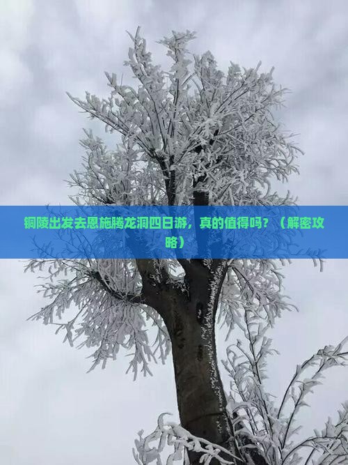 铜陵去恩施腾龙洞四日游