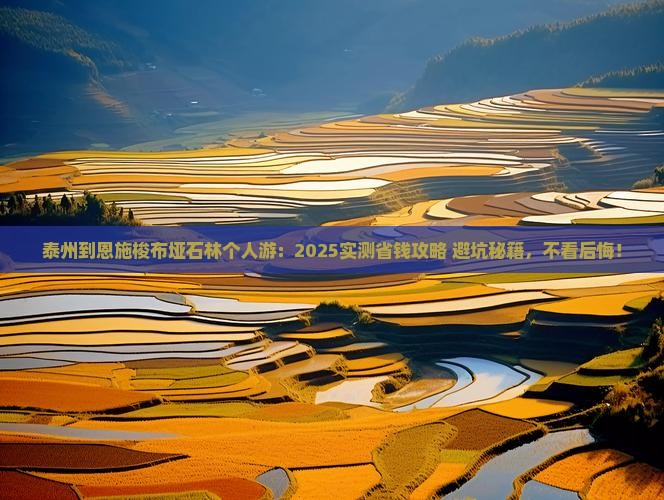 泰州到恩施梭布垭石林个人游