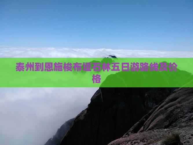 泰州到恩施梭布垭石林五日游