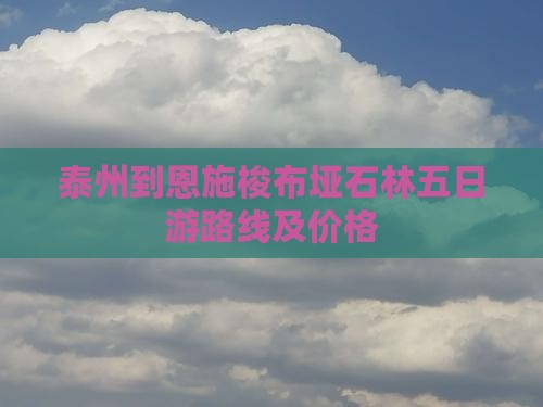 泰州到恩施梭布垭石林五日游
