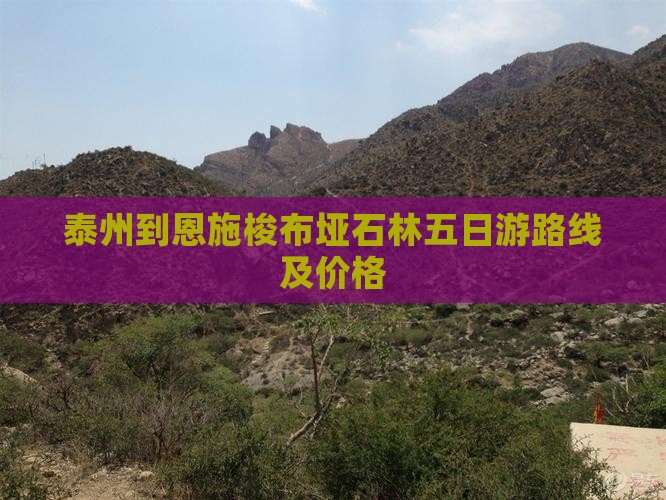 泰州到恩施梭布垭石林五日游