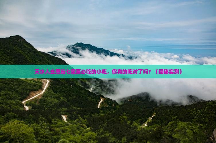 天水去恩施七星寨旅游小吃